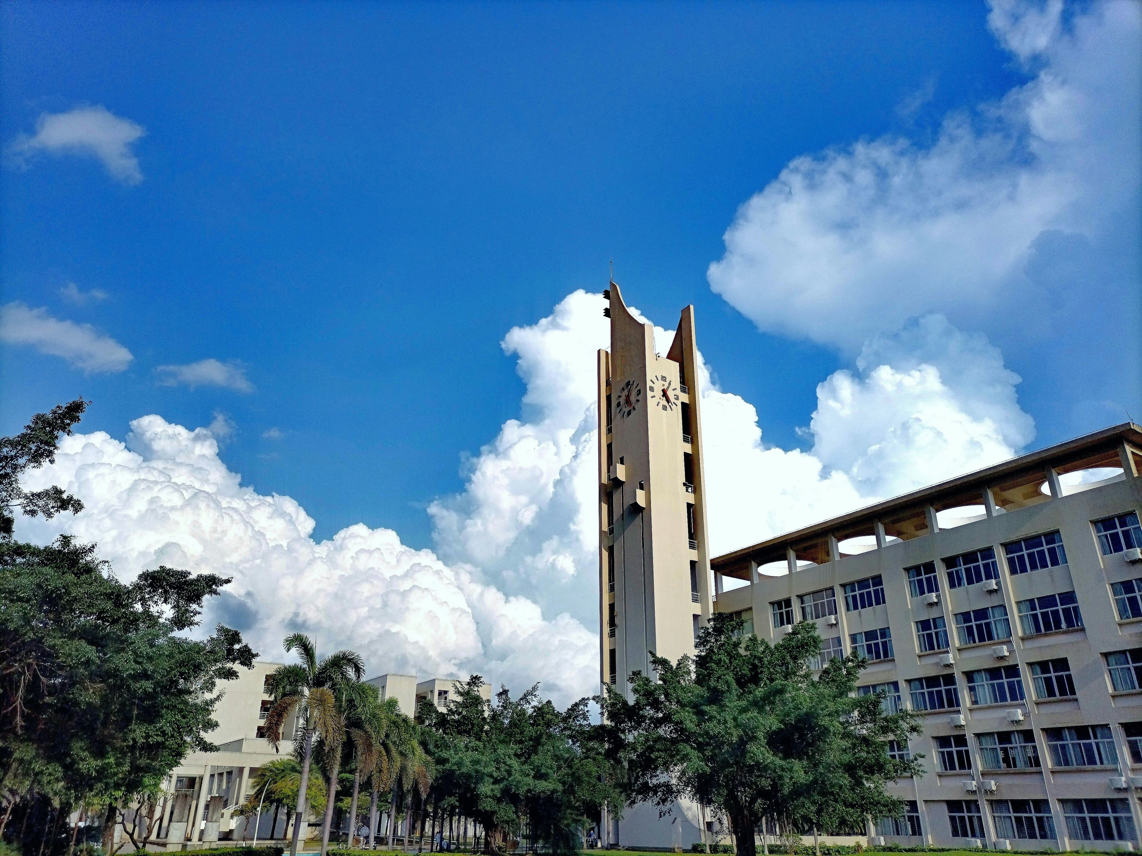 Education Insurance image